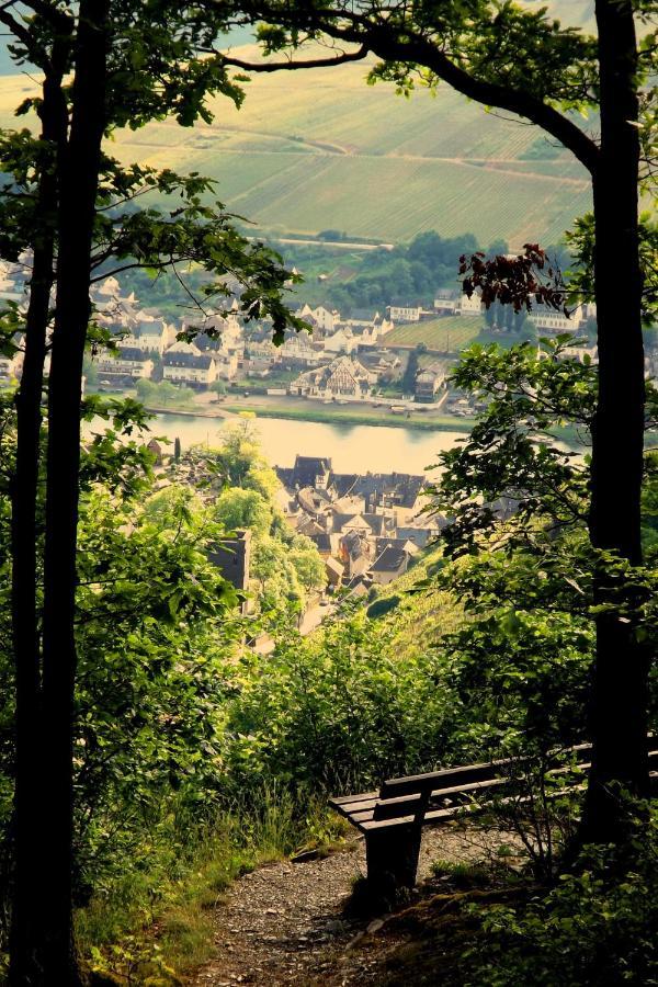 Mosel Panorama Apartment Zell an der Mosel Ngoại thất bức ảnh