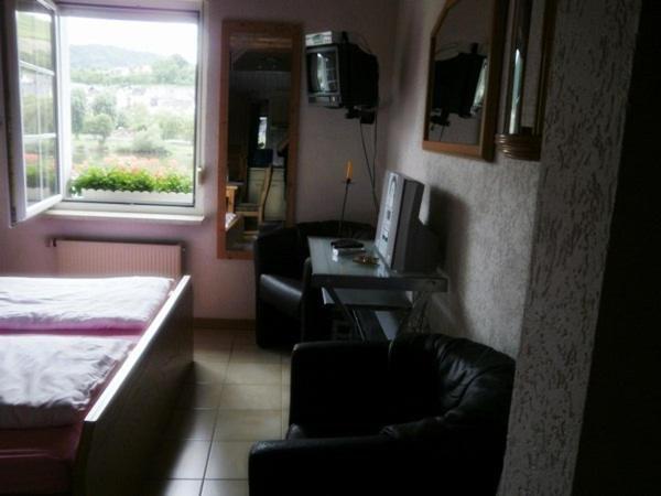 Mosel Panorama Apartment Zell an der Mosel Phòng bức ảnh