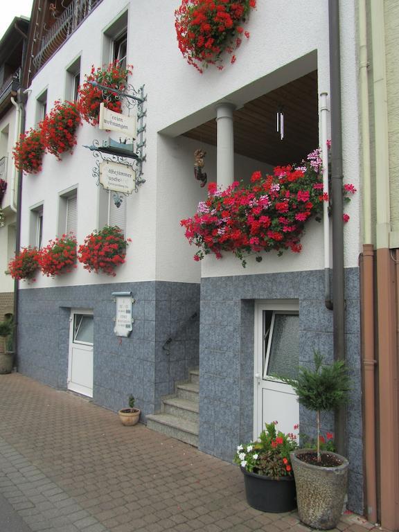 Mosel Panorama Apartment Zell an der Mosel Ngoại thất bức ảnh