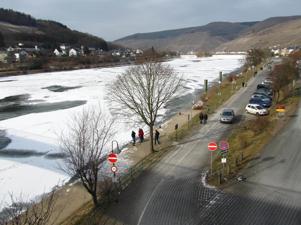 Mosel Panorama Apartment Zell an der Mosel Ngoại thất bức ảnh