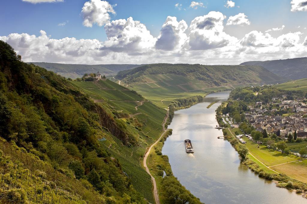 Mosel Panorama Apartment Zell an der Mosel Ngoại thất bức ảnh