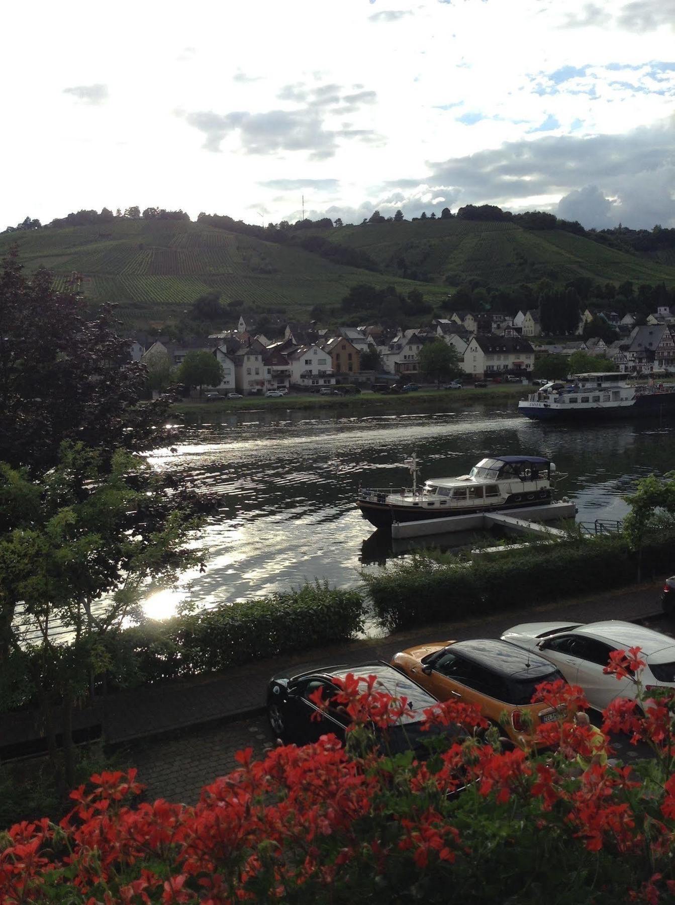 Mosel Panorama Apartment Zell an der Mosel Ngoại thất bức ảnh