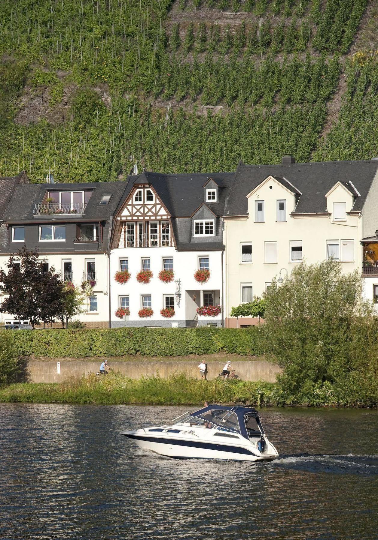 Mosel Panorama Apartment Zell an der Mosel Ngoại thất bức ảnh